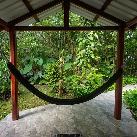 Cabanas Valle Campanas - Monteverde, Costa Rica Exteriör bild